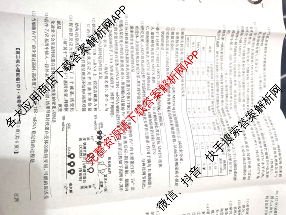 九师联盟2025~2026学年高三核心模拟卷(中)(五)（含化学(D1)、历史(D2)、政治(B)等）生物试题