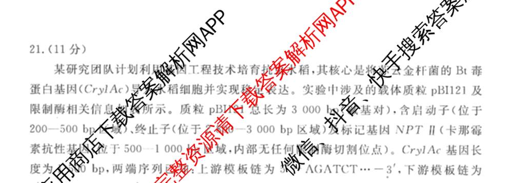 衡水金卷先享题调研卷2026年普通高等学校招生全国统一考试模拟试题(五)5各科答案及试卷（91科全）生物试题