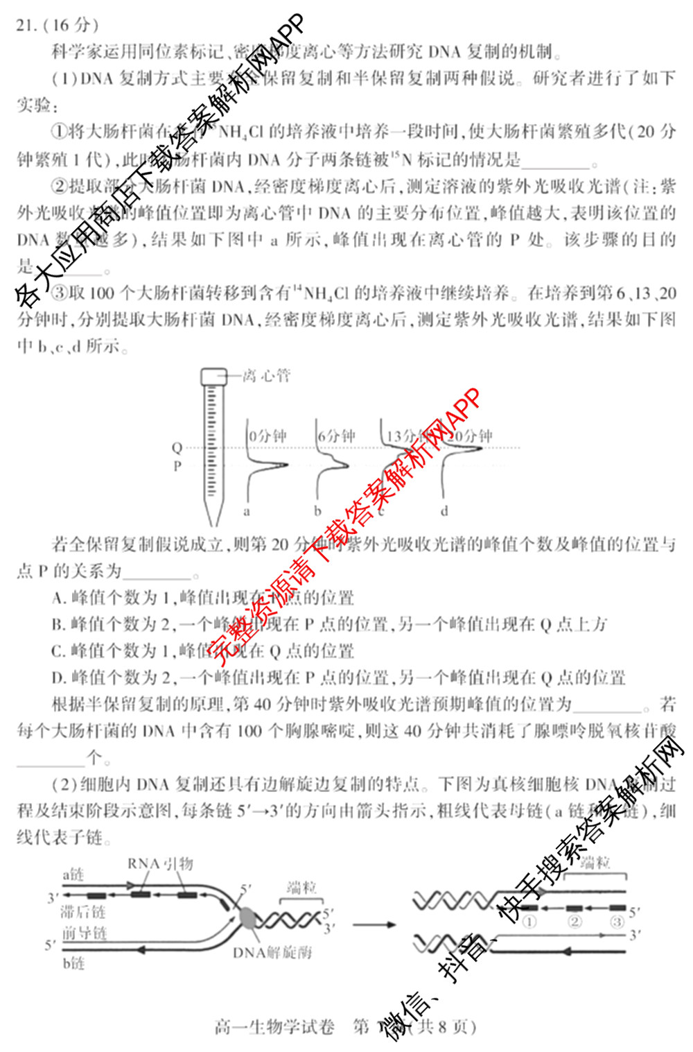 潜江市2024-2025年七月高一期末统一调研测试试卷及答案汇总: 含化学、数学、物理试卷解析生物试题