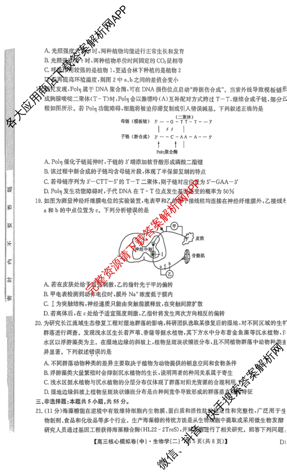 九师联盟2025~2026学年高三核心模拟卷(中)(二)试卷及答案汇总（36科全）生物试题
