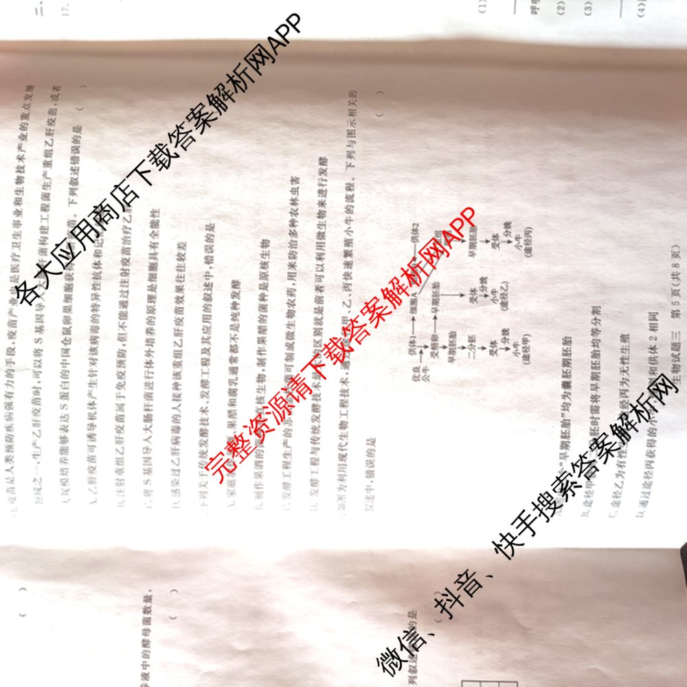 青桐鸣2024年普通高等学校招生全国统一考试青桐鸣押题卷三试卷及答案汇总(含英语(新教材)、理综(新教材)、语文(新教材)等)生物试题 青桐鸣2024年普通高等学校招生全国统一考试青桐鸣押题卷三试卷及答案汇总(含英语(新教材)、理综(新教材)、语文(新教材)等)生物试题