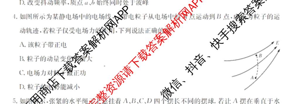 广东省2025-2026学年度高二第一学期期中考试(26-X-081B)试卷及答案汇总(已更新政治、数学、英语等10份)物理试题