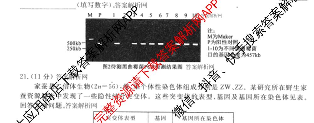 衡水金卷先享题月考卷2025-2026学年度上学期高三年级二调考试试卷及答案汇总（含英语 生物 化学等）生物试题