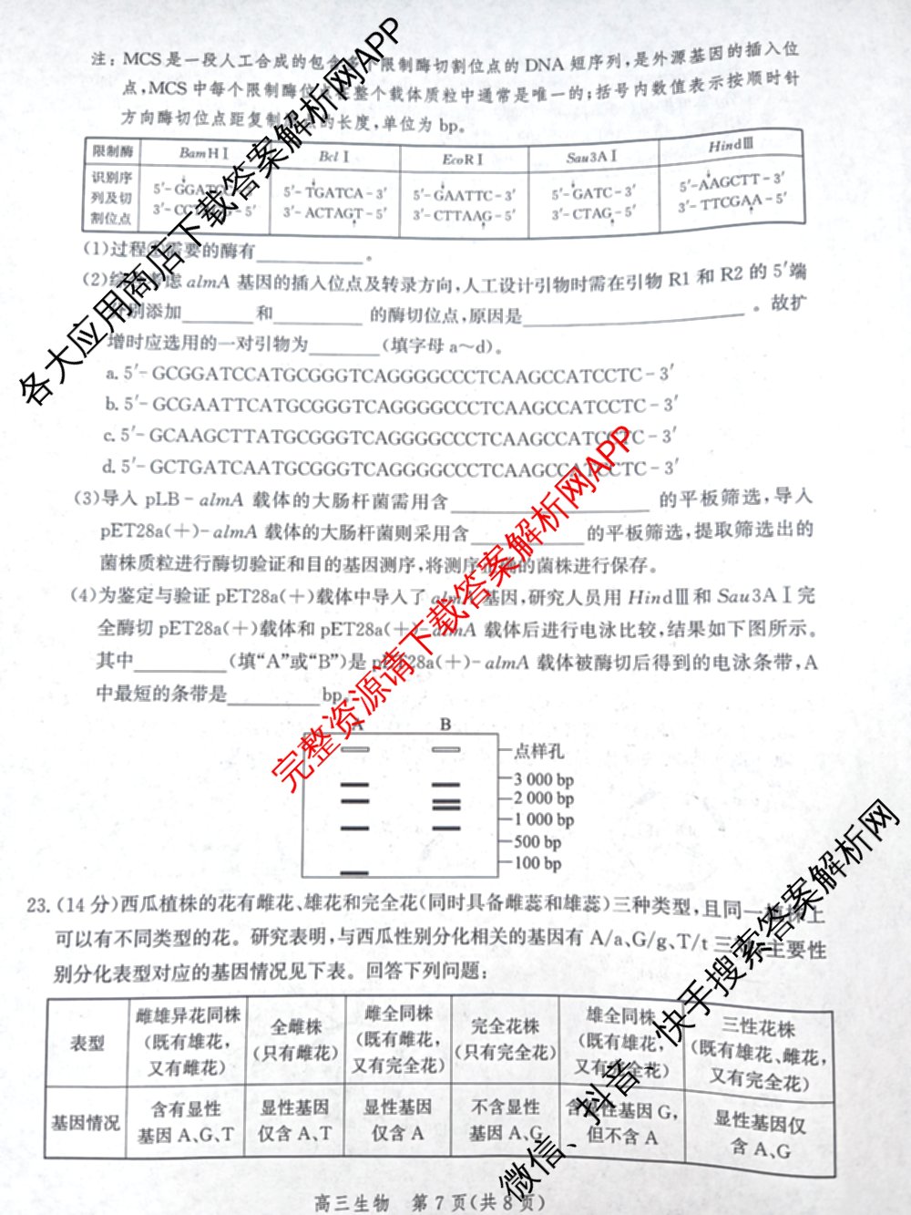 沧州市普通高中2026届高三年级教学质量监测(12月)（含数学 物理 化学等）生物试题