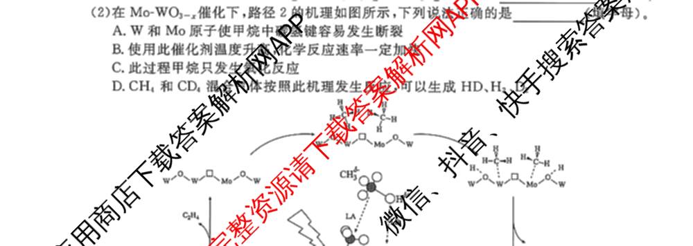 2025年点石联考东北