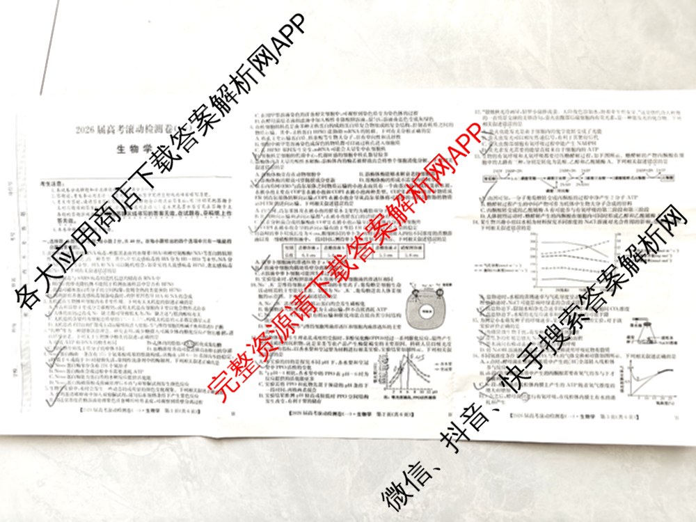 2026届高考滚动检测卷(一)1（含生物 政治 生物(B)等11份）生物试题