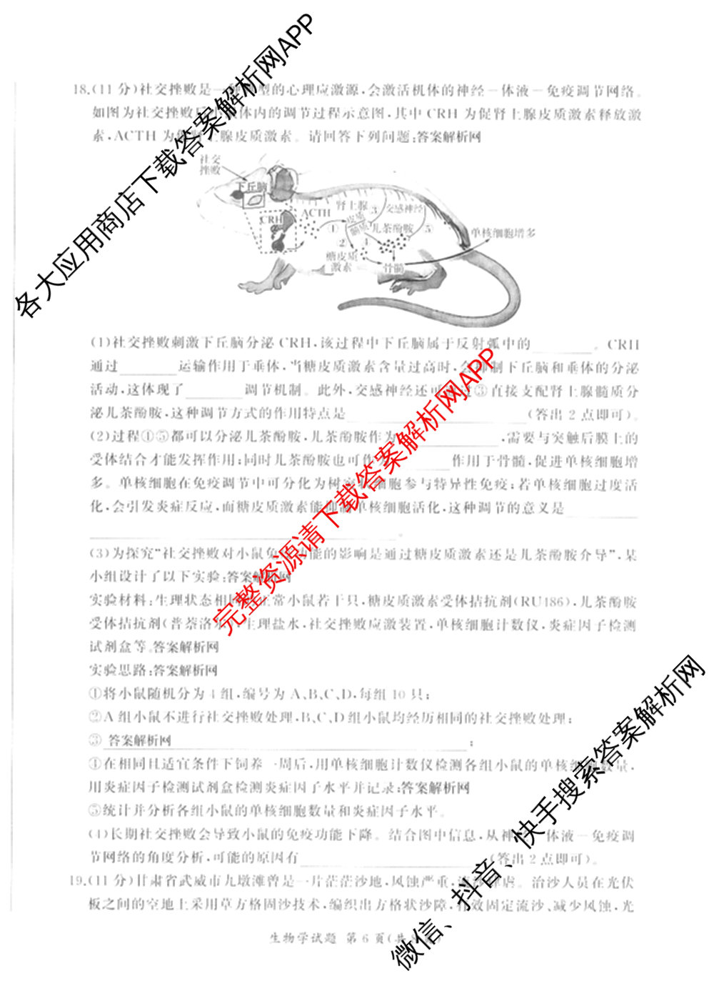百师联盟2026届高三命题趋势预测(四)（含化学(百N)、政治(百A)、数学(百B)等）生物试题