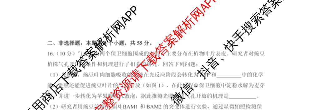 成都七中2025-2026学年度高三(上)一诊模拟检测各科答案及试卷: 含物理 政治 语文试卷解析生物试题