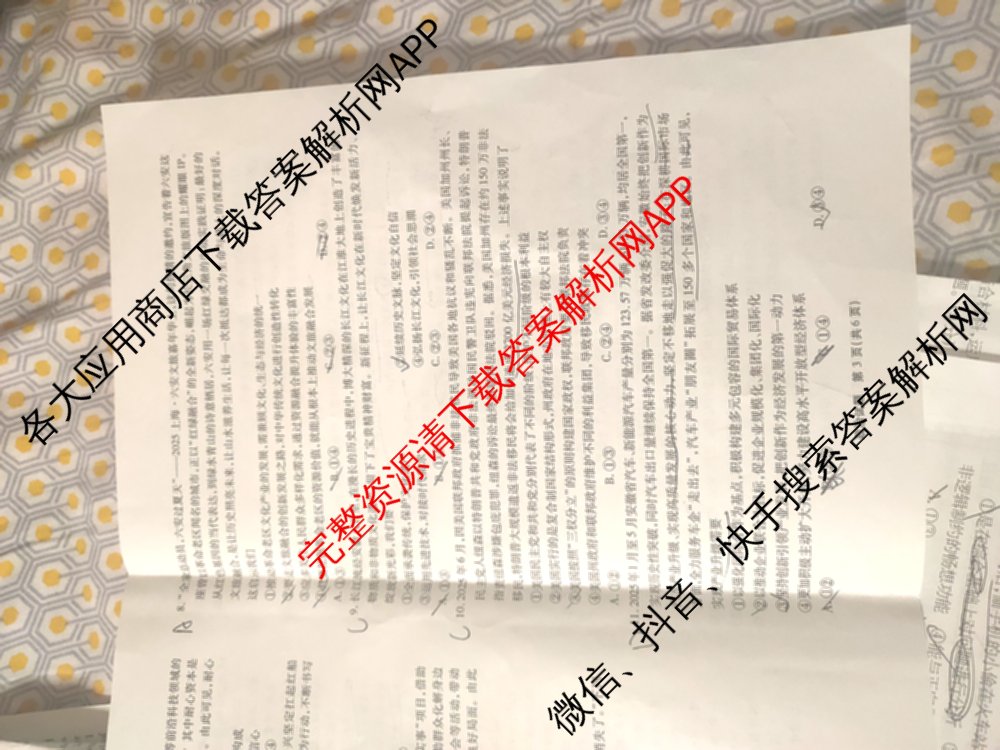 江淮十校2026届高三第一次联考(2025.8)各科答案及试卷（含语文、化学、历史等9份）政治试题