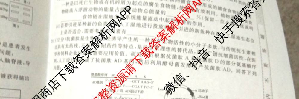 2026普通高等学校招生全国统一考试冲刺押题卷(六)6（16科全）生物试题