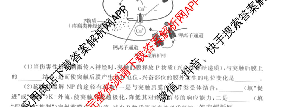 天舟高考衡中同卷2026年普通高等学校招生全国统一考试模拟信息卷(一)1（含数学(无字母)、物理(安徽版)、生物(WY)等34份）理综试题