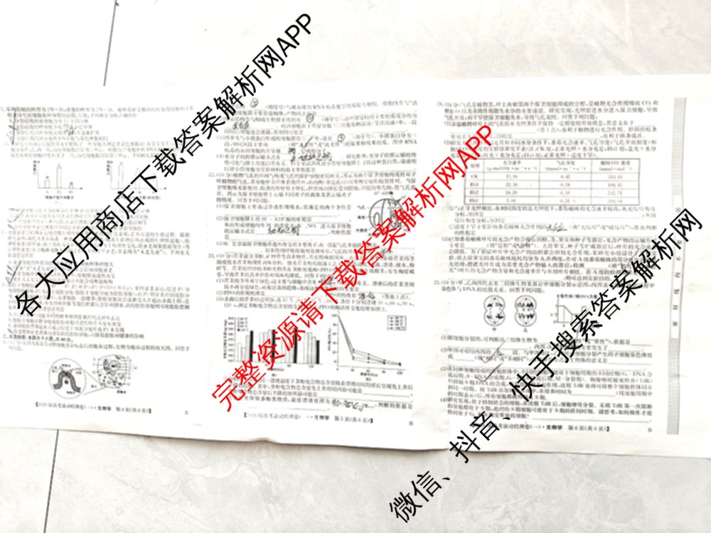 2026届高考滚动检测卷(一)1（含生物 政治 生物(B)等11份）生物试题