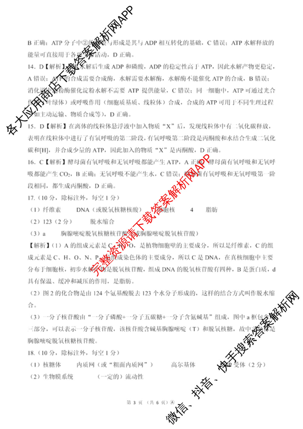 百师联盟2025-2026学年高一年级12月阶段检测试卷及答案汇总(已更新语文 政治 英语等11份)生物答案