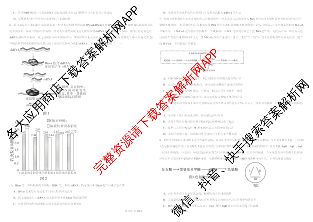 陕西省西北大学附中学25-26下学期期中检测高二试卷及答案汇总（含化学 政治 数学等）生物试题