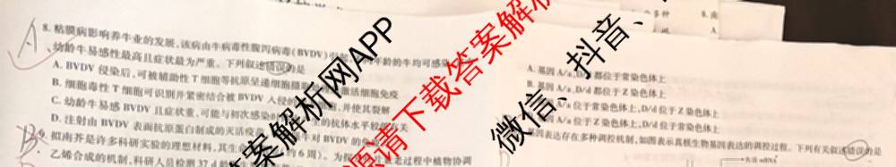 2026届智慧上进名校学术联盟高考模拟信息卷&冲刺卷&预测卷(三)3试卷及答案汇总（含生物(SX) 生物(SC) 生物(II)等40份）生物试题