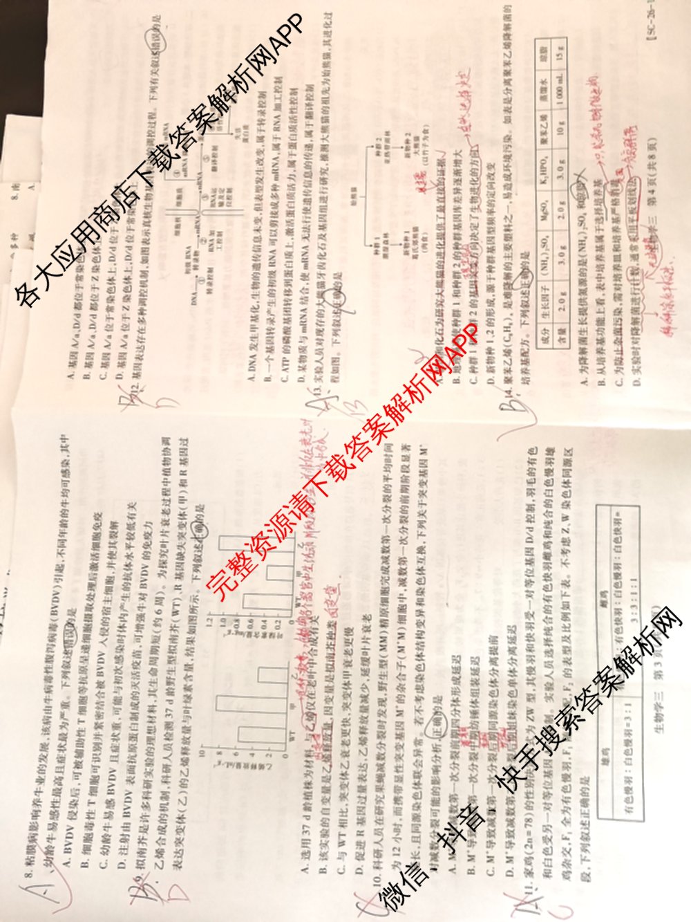 2026届智慧上进名校学术联盟高考模拟信息卷&冲刺卷&预测卷(三)3试卷及答案汇总（45科全）生物试题