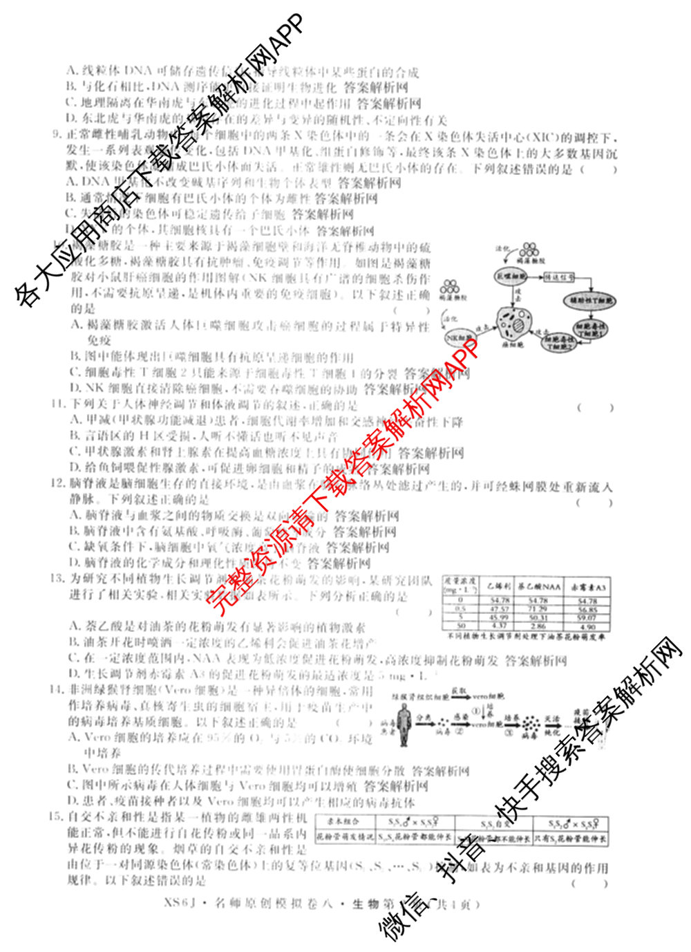 2026届高三总复名师原创模拟(八)8各科答案及试卷(已更新生物(XS6)、历史(XS6J)、历史(新S6J)等39份)生物试题