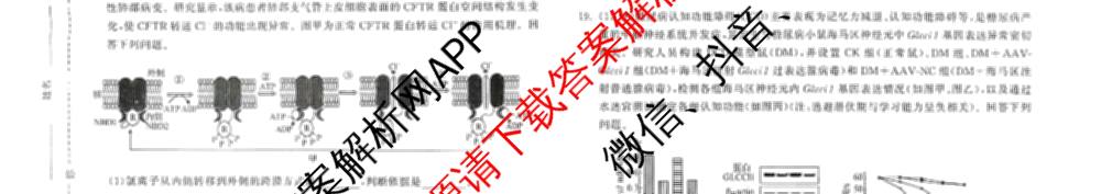 天舟高考衡中同卷2026年普通高等学校招生全国统一考试模拟信息卷(二)2试卷及答案汇总（含物理(山东版)、生物(WY)、语文(通用版)等34份）生物试题