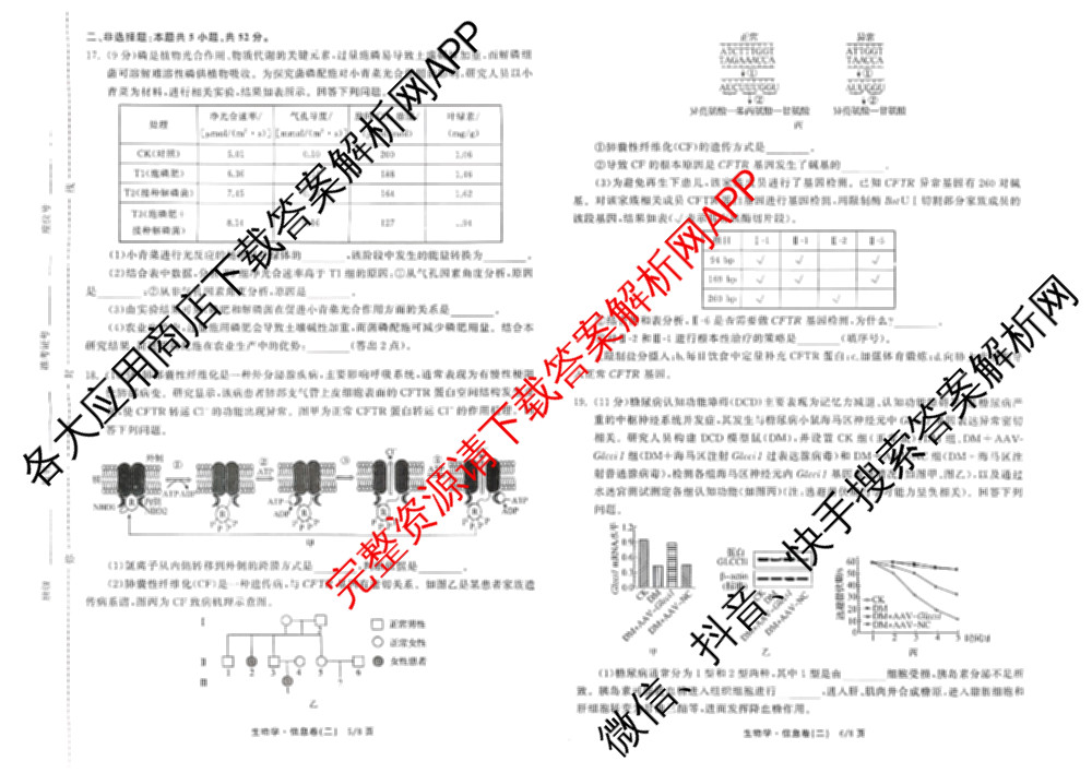 天舟高考衡中同卷2026年普通高等学校招生全国统一考试模拟信息卷(二)2: 含化学(LE)、生物(JY)、英语(通用版)试卷解析生物试题