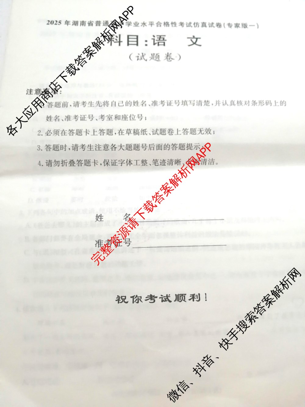 2025年湖南省普通高中学业水合格性考试仿真试卷(专家版一)试卷及答案汇总（9科全）语文试题