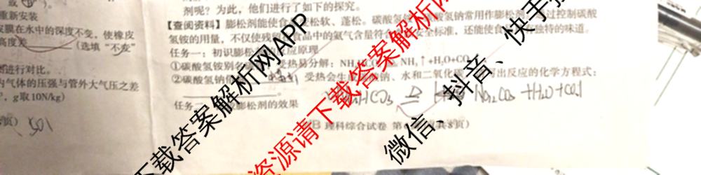 2024年文博志鸿河北名校九年级联考试卷(5月)(已更新理综、地理、语文等7份)理综试题