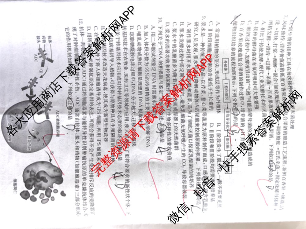 吉林省2025年高二考试(JL02B-25)（含生物、历史、物理等9份）生物试题