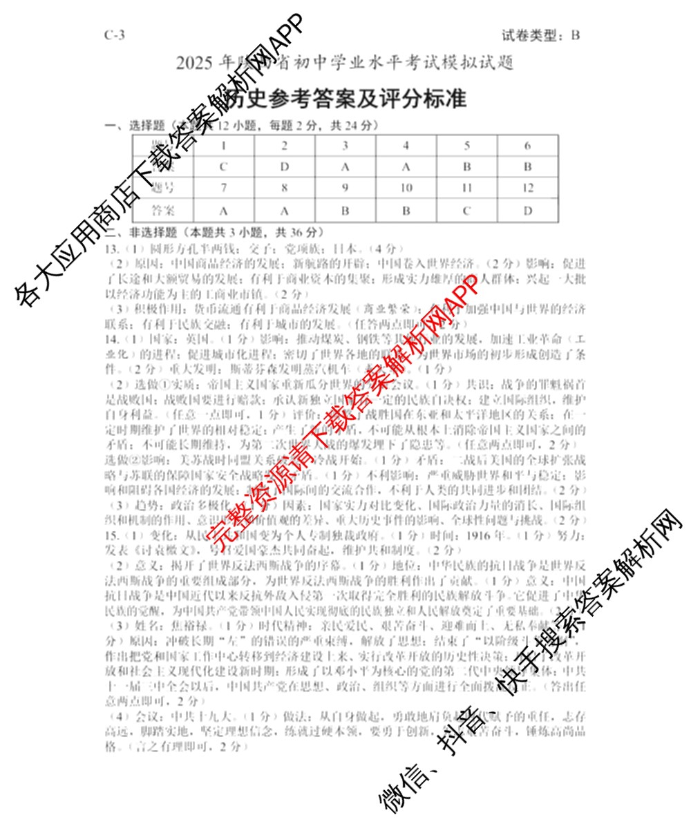 C-32025年陕西省初中学业水平考试模拟试题[试卷类型B]（7科全）历史答案