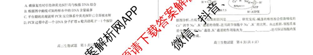 优高联考山东省2026届高三考试(无标题)(2025.9)各科答案及试卷（含语文、化学、英语等9份）生物试题