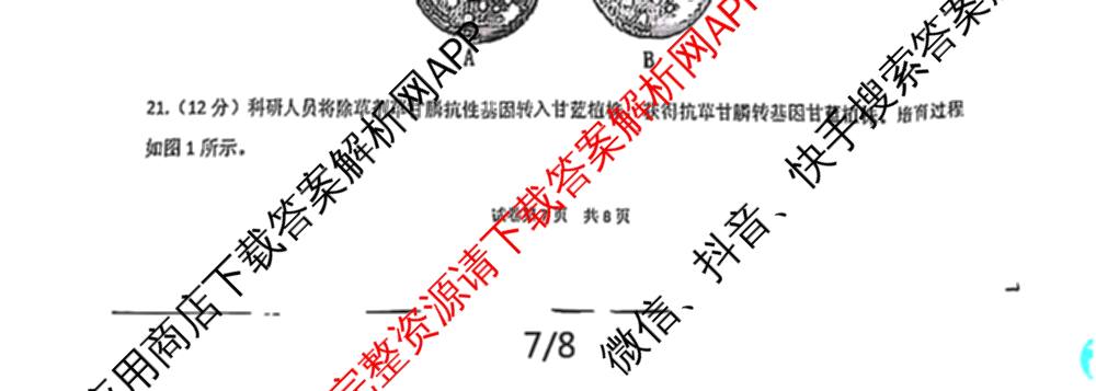 江西省重点中学盟校2024年7月联考试卷及答案汇总（含化学、历史、数学等9份）生物试题