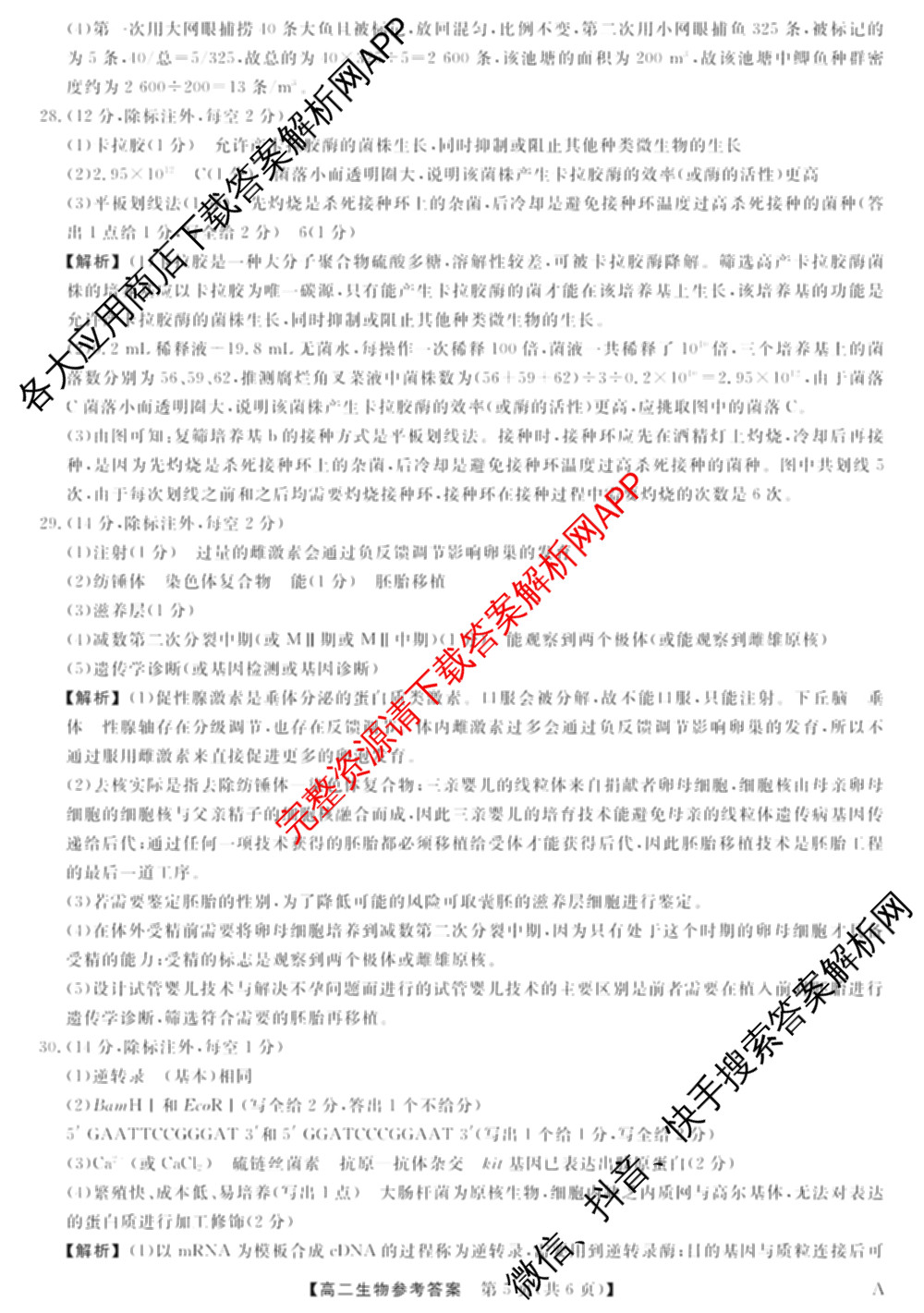 2024-2025学年福建百校高二期末考试(7月)(已更新数学(A)、物理(A)、语文(A)等9份)生物答案