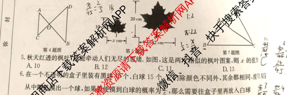 安徽省2026届九年级阶段评估[AH(2)]各科答案及试卷（含语文(R)、历史(R)、数学(R)等14份）数学试题