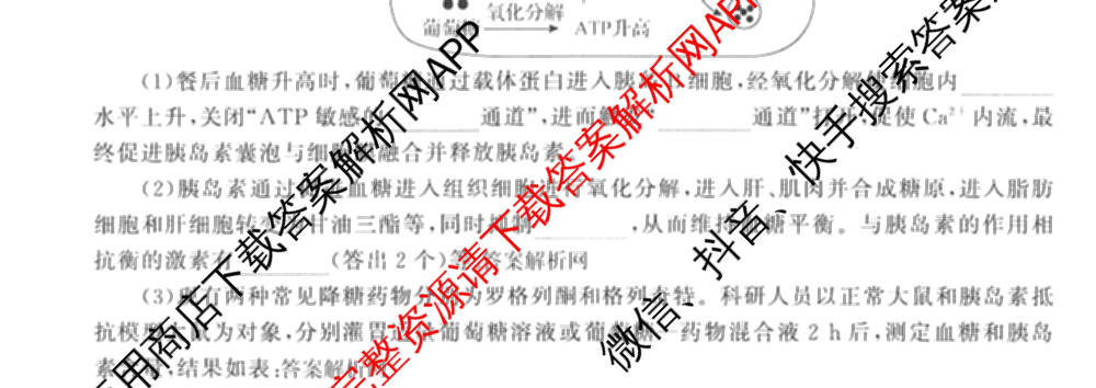 天舟高考衡中同卷2026年普通高等学校招生全国统一考试模拟信息卷(六)6（含化学(山东版)、政治(DB)、物理(山东版)等35份）生物试题