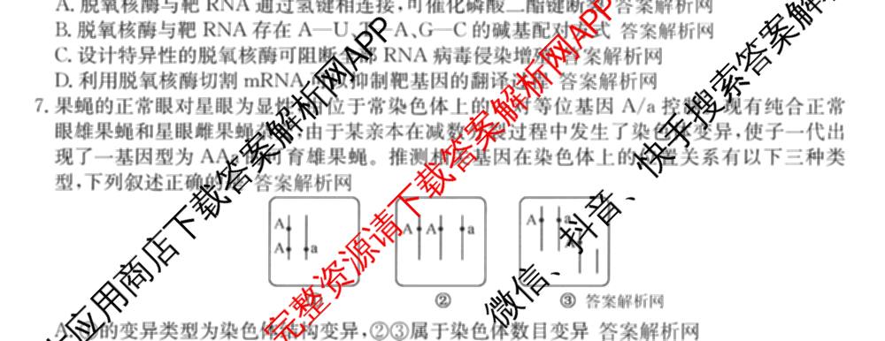 2026年全国高考仿真模拟卷(二)2: 含地理(E1) 生物(安徽) 物理(E1)试卷解析生物试题