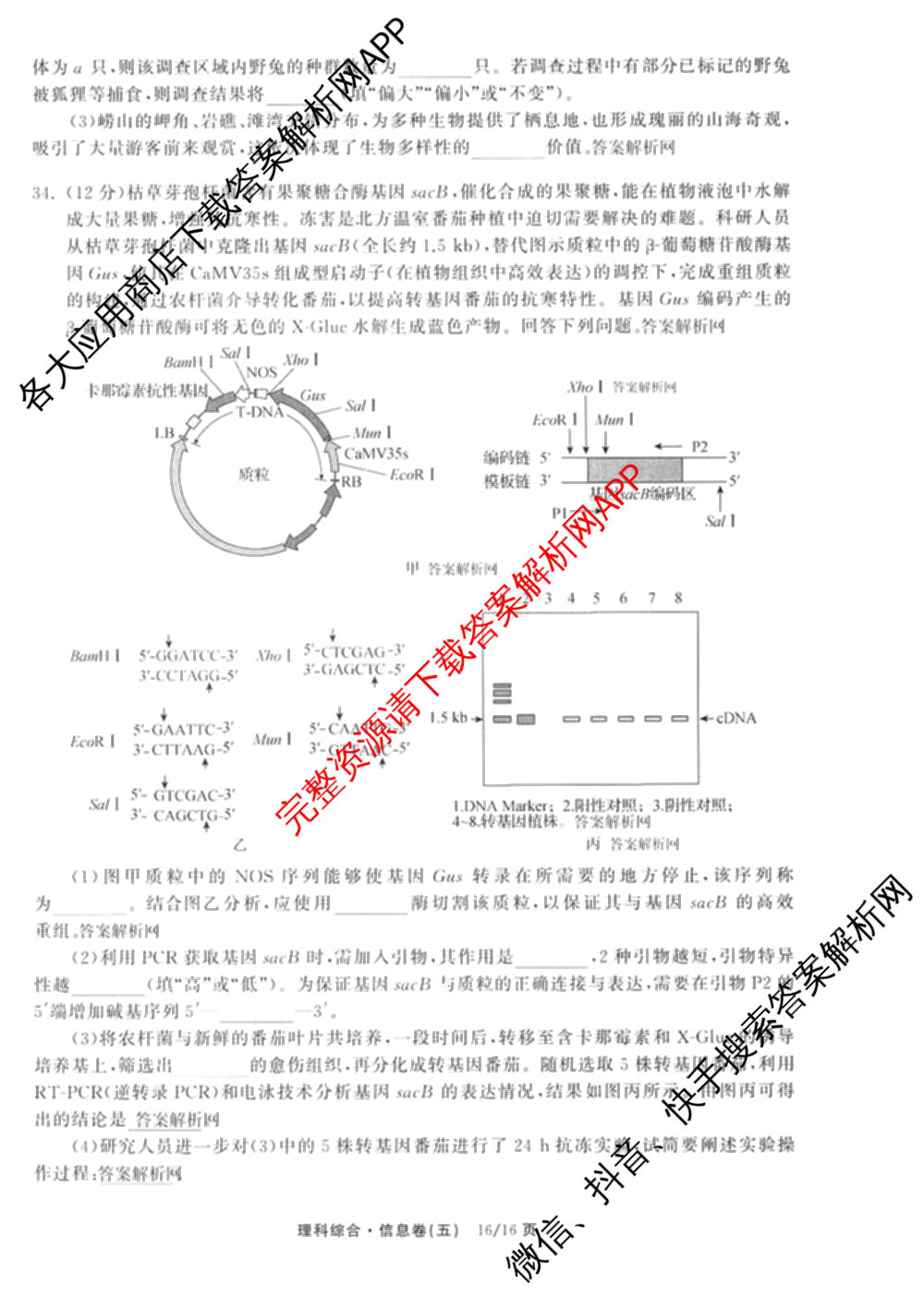 天舟高考衡中同卷2026年普通高等学校招生全国统一考试模拟信息卷(五)5(已更新化学(无字母)、数学(B)、物理(WY)等35份)理综试题