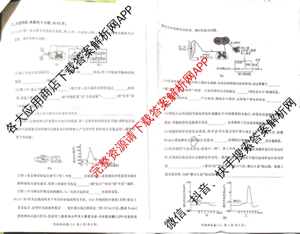 百师联盟2025-2026学年高二上学期阶段测试卷(二)2各科答案及试卷(已更新化学(人教版90分钟·多选)、物理(90分钟多选)、英语等26份)生物试题
