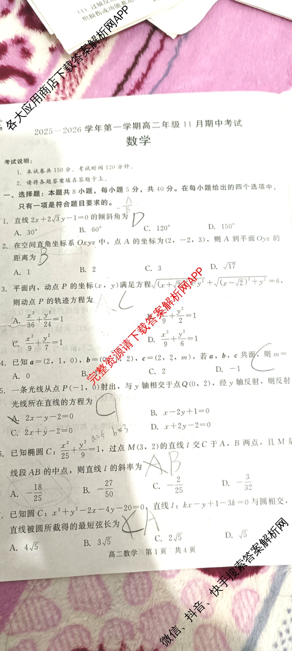 NT河北省2025-2026学年第一学期高二年级11月期中考试(一)各科答案及试卷（含政治 生物 物理等10份）数学试题