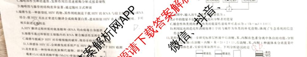 百师联盟2026届高三仿真模拟考试(四)试卷及答案汇总（含政治(百N) 物理(百F) 英语(百B)等）生物试题