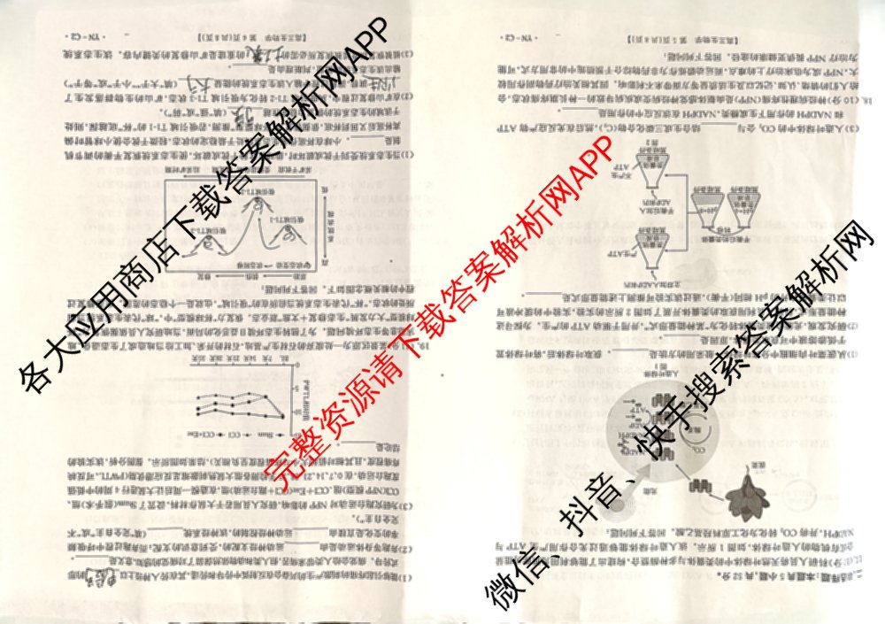 百万联考云南省2026届高三11月考试(11.27)[YN]各科答案及试卷（含地理(C1)、物理(C2)、生物(C1)等）生物试题
