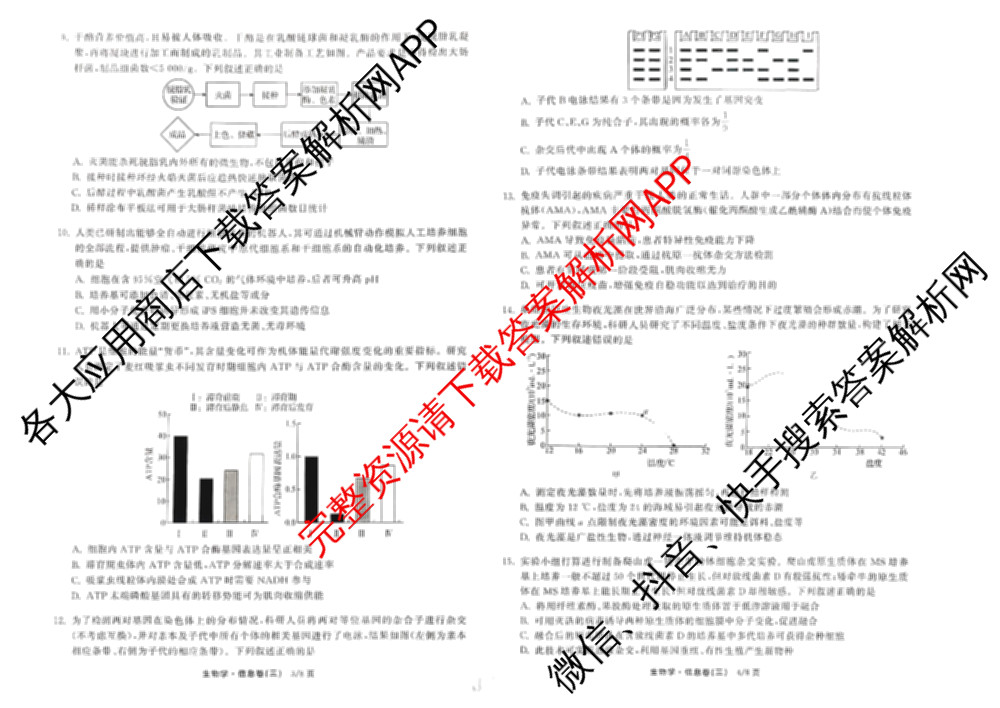 天舟高考衡中同卷2026年普通高等学校招生全国统一考试模拟信息卷(三)3各科答案及试卷（含物理(HJ)、物理(无字母)、英语(B)等24份）生物试题