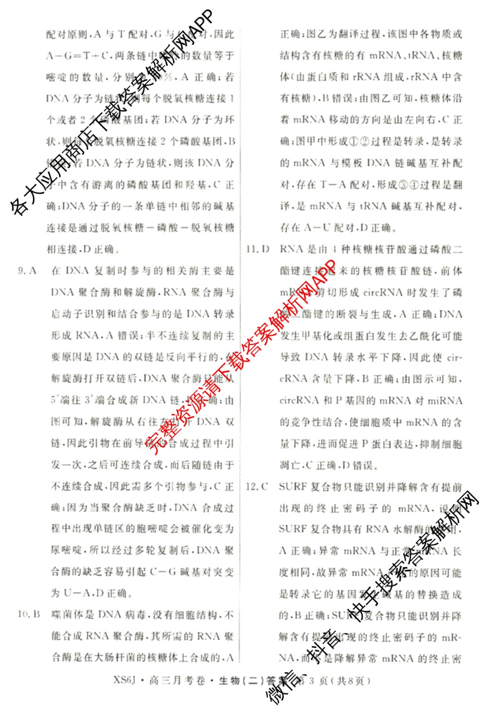 名校联考2026届高三总复月考卷(二)2各科答案及试卷(含语文(XS6G) 化学(XS6J) 历史(XS6J)等)生物答案 名校联考2026届高三总复月考卷(二)2各科答案及试卷(含语文(XS6G) 化学(XS6J) 历史(XS6J)等)生物答案