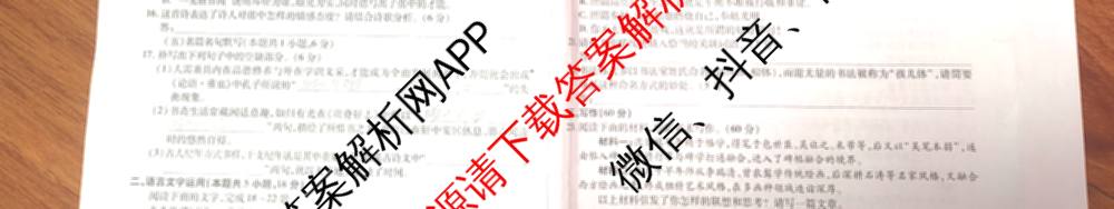 天一大联考安徽2026届高三期中联考(11月)(已更新物理(合肥专版)、历史(宿州专版)、政治等16份)语文试题