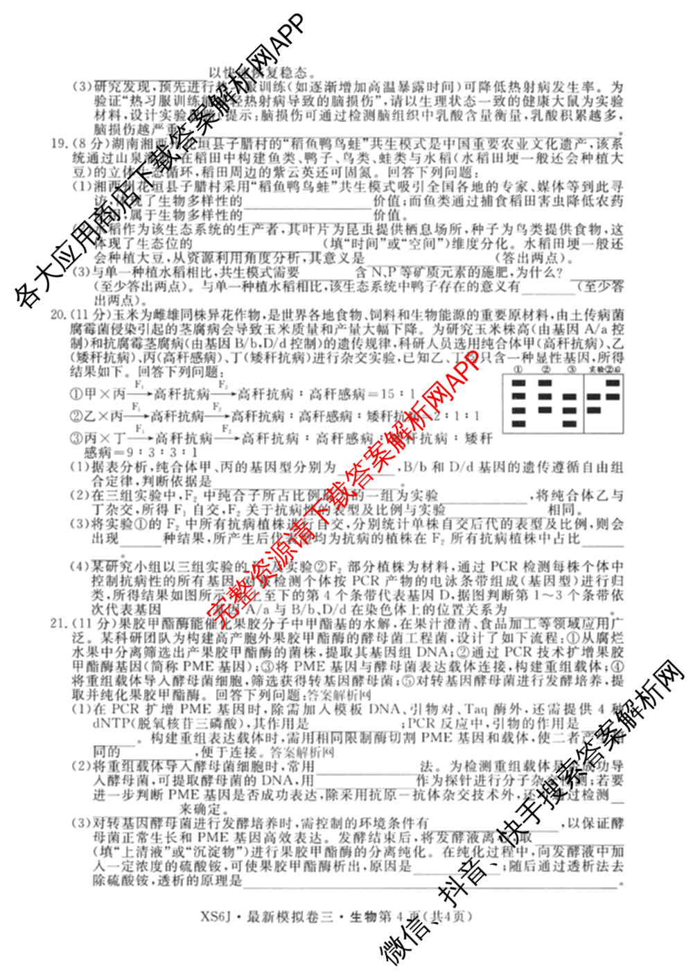 2026年普通高等学校招生统一考试最新模拟卷(三)3各科答案及试卷(已更新生物(HB6) 物理(HN6) 生物(SD6)等40份)生物试题