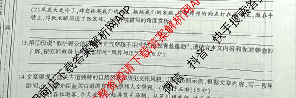 陕西省2025~2026学年度第一学期第四阶段学业调研[试卷类型:D]九年级试卷及答案汇总（含历史(部编版) 道德与法治(部编版) 物理等7份）语文试题