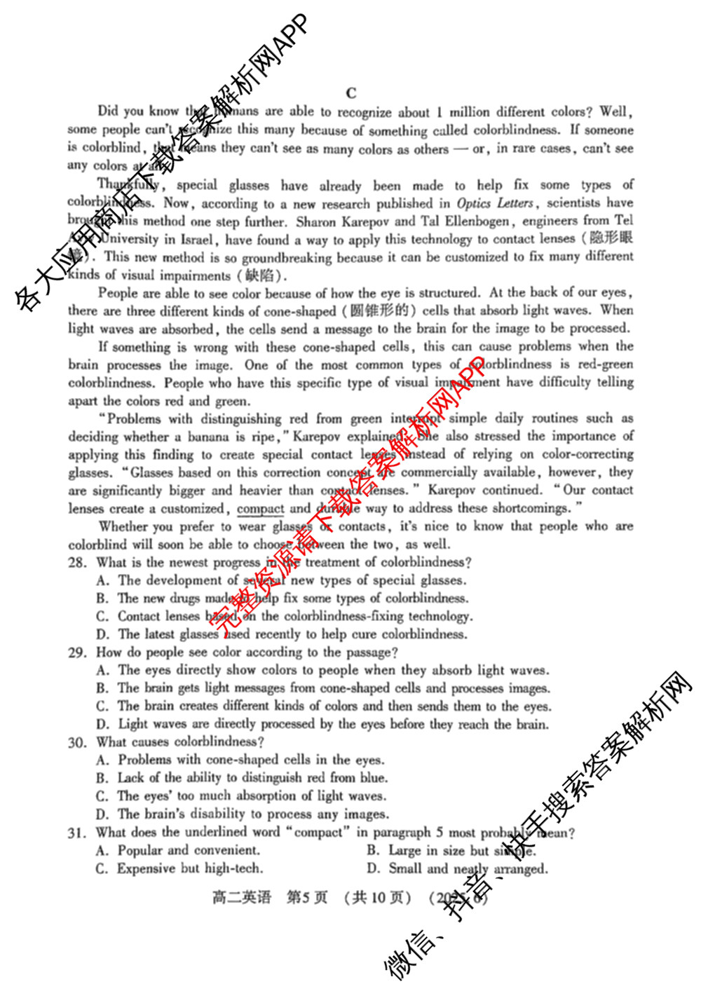 河南省洛阳市2024-2025学年第二学期高二质量检测(2025.6)(已更新语文 数学 物理等9份)英语试题