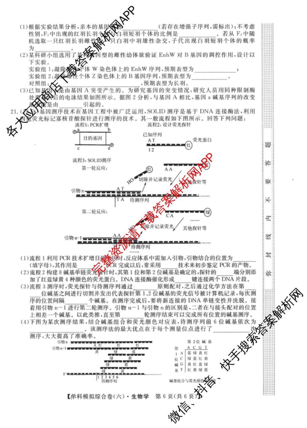 2026新高考单科模拟综合卷(六)6试卷及答案汇总(已更新生物、物理、化学(N)等18份)生物试题