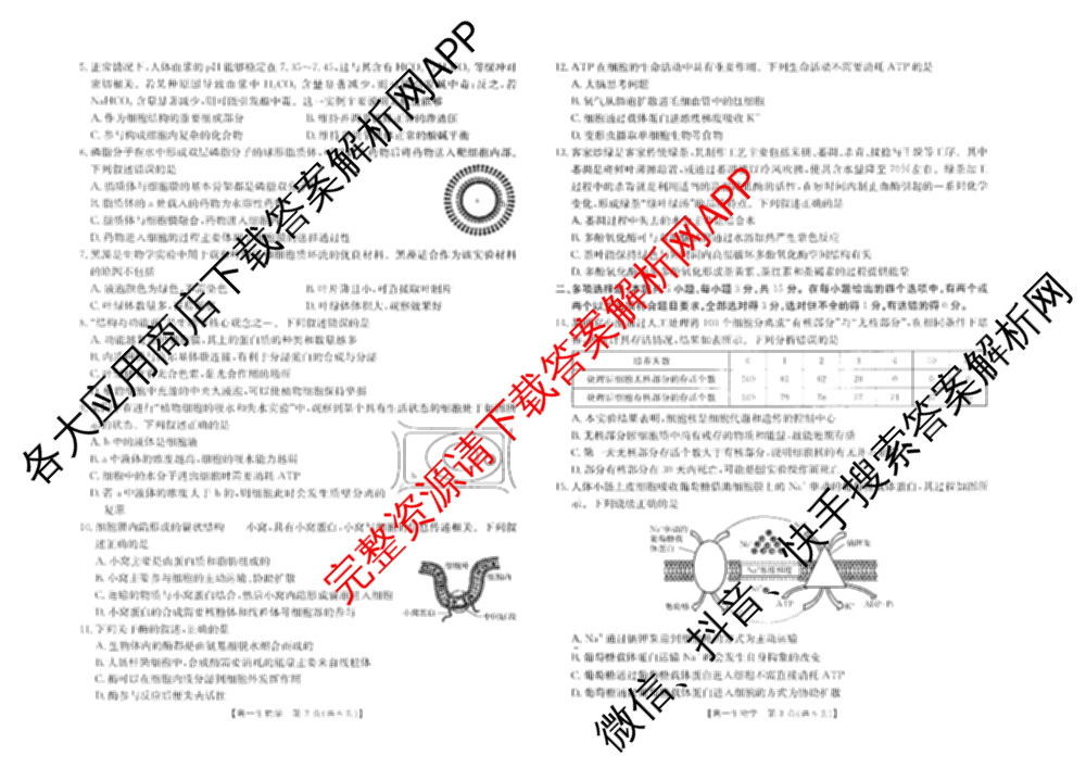 河北省2025-2026学年高一年级12月联考(12.17)(已更新物理 化学 历史等10份)生物试题