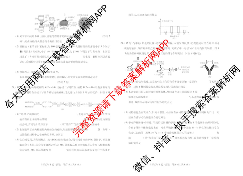 天一大联考2024-2025学年(下)高二年级期中考试各科答案及试卷(已更新数学(北师大版)、政治(B卷)、数学等13份)生物试题