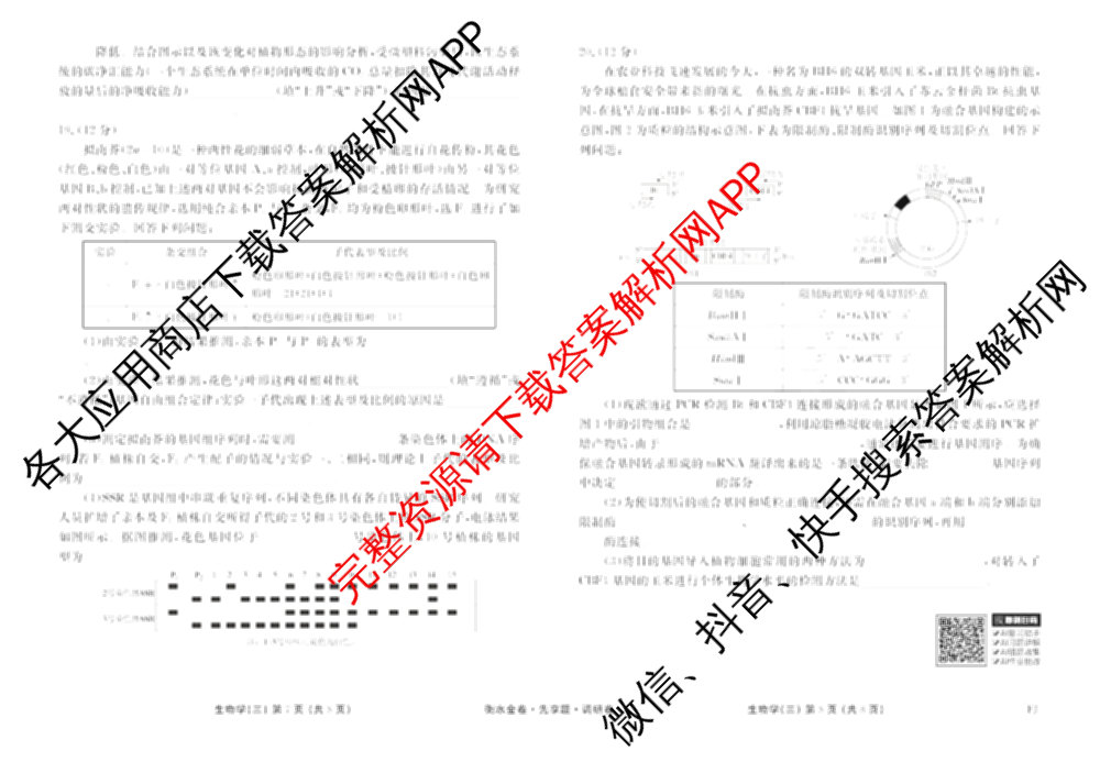 衡水金卷先享题调研卷2026年普通高等学校招生全国统一考试模拟试题(三)3各科答案及试卷(已更新化学(山东专版)、历史(HN)、文综(新教材)等91份)生物试题