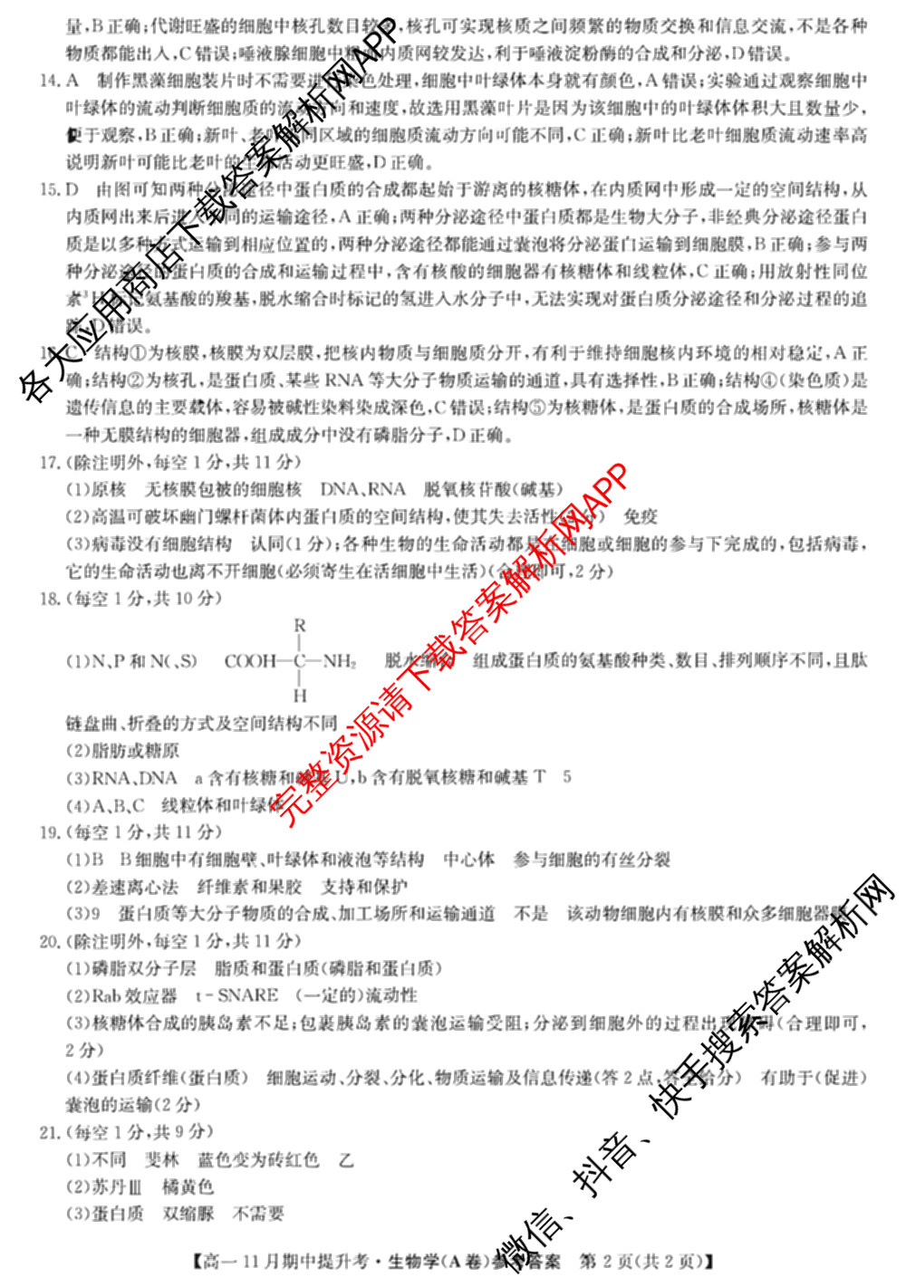 三晋卓越联盟2025~2026学年高一11月期中提升考(26-X-128A)各科答案及试卷（含物理(A卷) 物理(B卷) 英语等17份）生物答案