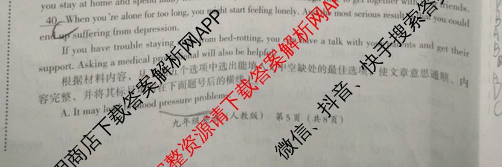 河南省2025-2026学年第一学期学业测评试卷九年级(12.17)试卷及答案汇总（含数学(人教版) 物理(沪科版) 数学(北师大版)等）英语试题